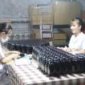 Phụ nữ với chuyển đổi số - cơ hội khởi nghiệp